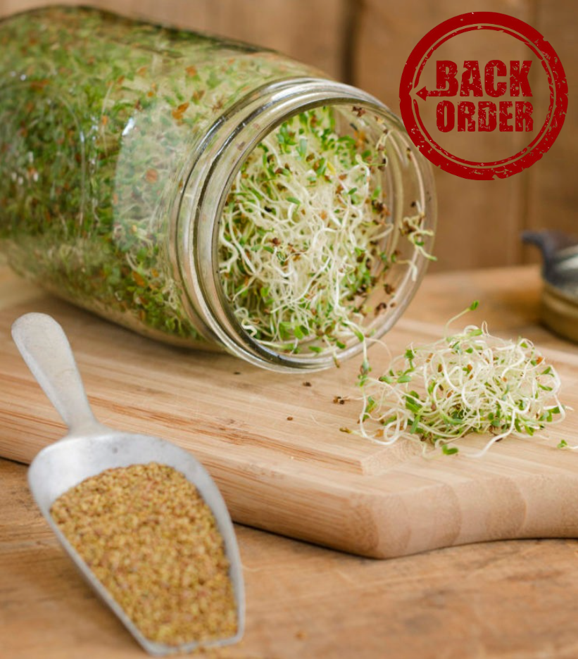 Sprout Jar back order