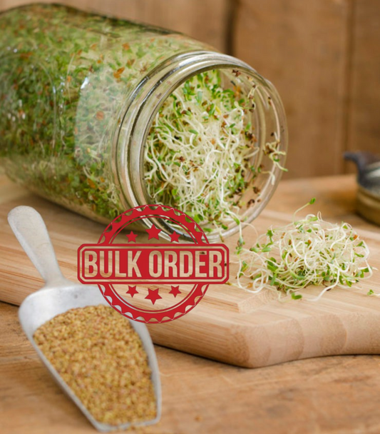 Sprout Jars - Bulk Supply for Restaurants - $84 per dozen